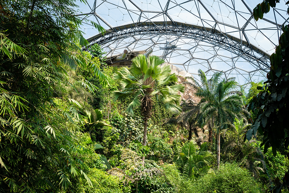 Bus service to the eden project